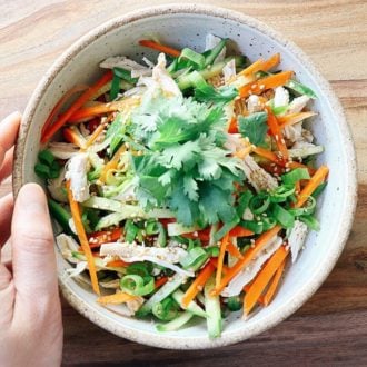 1 Minute Asian Chicken Salad