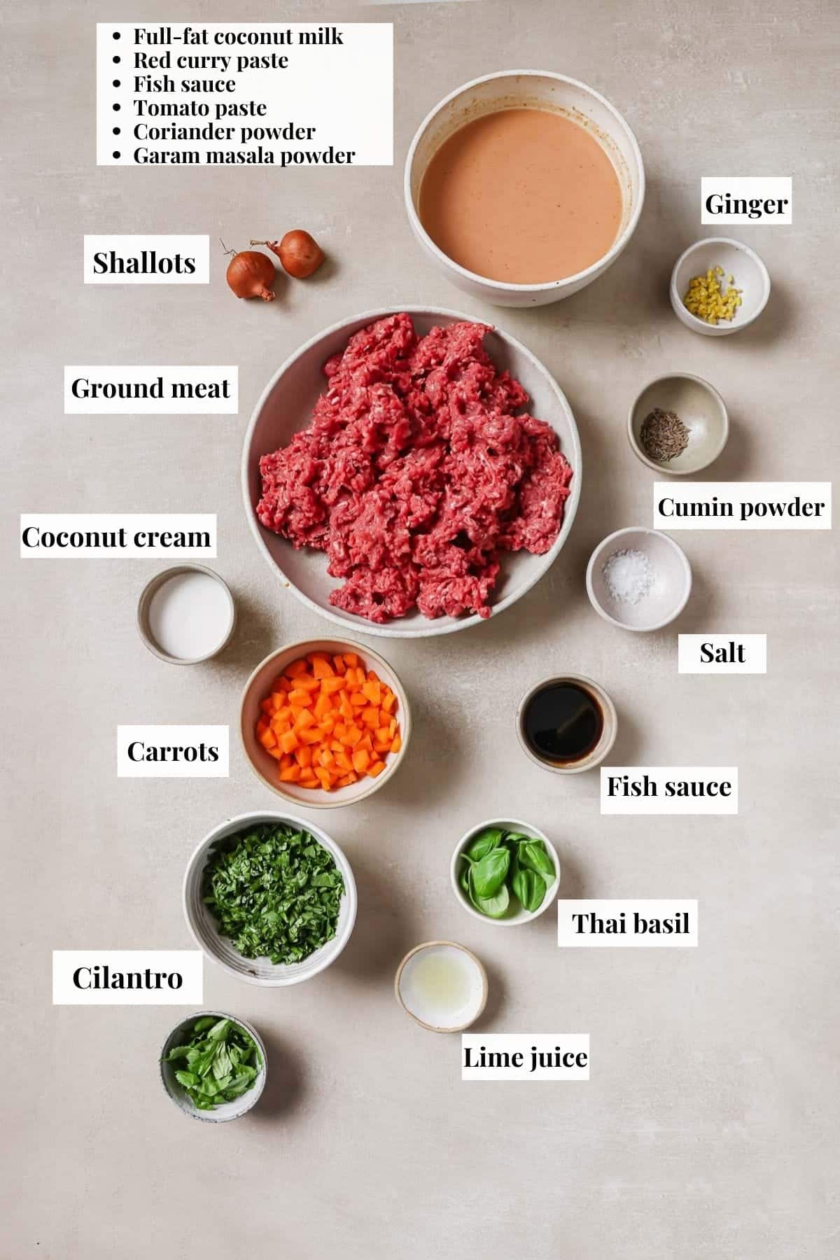 Image shows ingredients needed and used to make Thai meatballs with curry sauce.