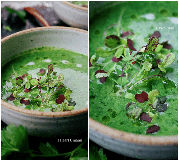 Paleo Detox Green Soup, AIP vegetable soup, Whole30 vegetable soup, Keto vegetable soup, Detox green soup, Paleo Asian food, Paleo Chinese food, I heart umami, IHeartUmami.com