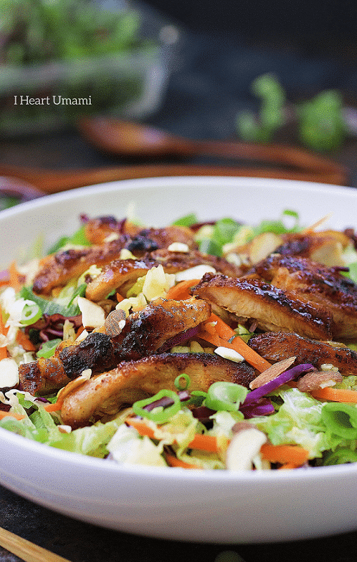 Healthy and gluten free Paleo Asian flavored grilled chicken cabbage salad recipe