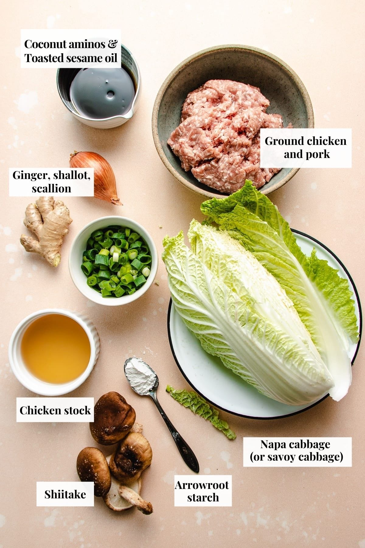 Photo shows ingredients needed to make the meatballs