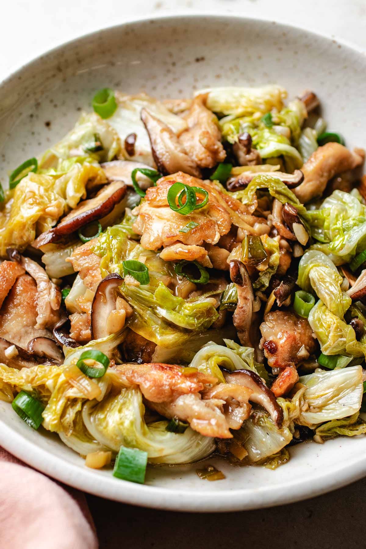 A side close shot image shows tender napa cabbage stir fry with chicken breasts and shiitake