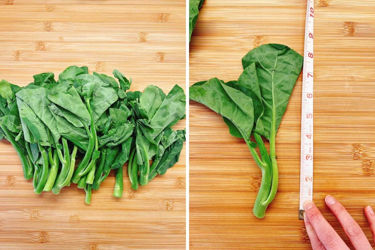 A bunch of leafy greens—commonly used in a classic Chinese Broccoli Stir Fry—rests on a wooden surface to the left. On the right, a single leaf of kai lan is measured with a tape measure, showing about 8 inches.
