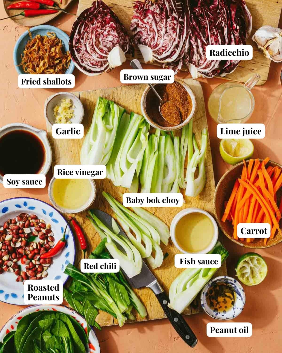 Photo shows individual ingredients and salad dressing components that go into making the dish.