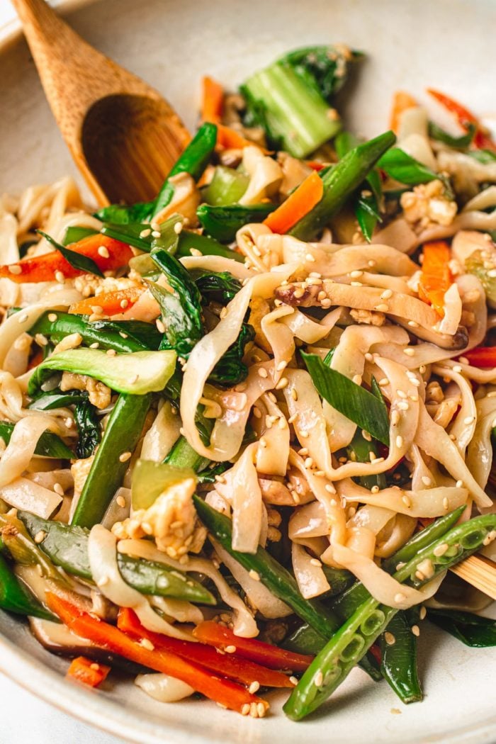 Chicken Lo Mein recipe with Vegetables and Paleo keto low carb noodles I Heart Umami