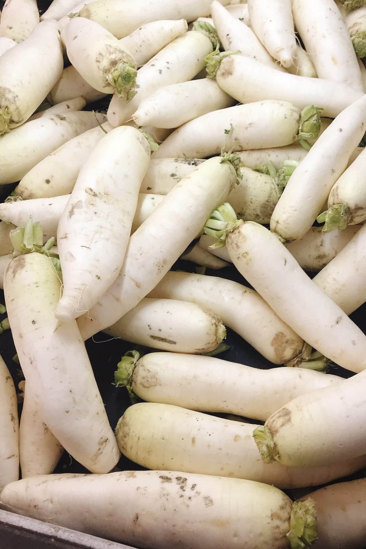 Daikon Radish Recipe with Chicken | I Heart Umami®