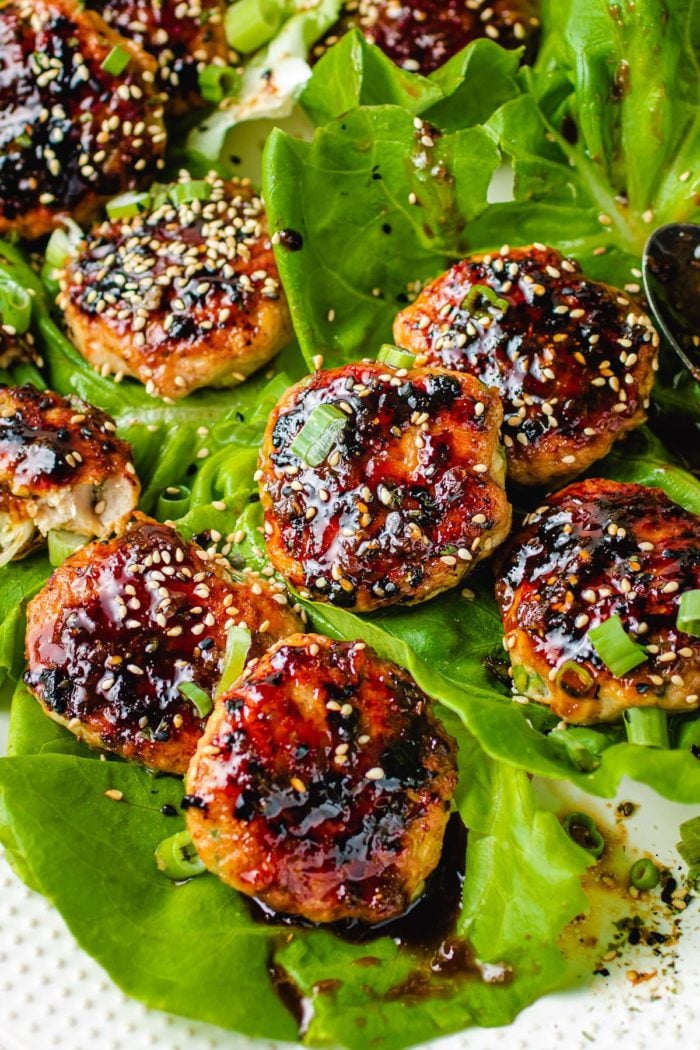 https://iheartumami.com/wp-content/uploads/2020/06/Japanese-grilled-chicken-meatballs-I-Heart-Umami-4-700x1050.jpg