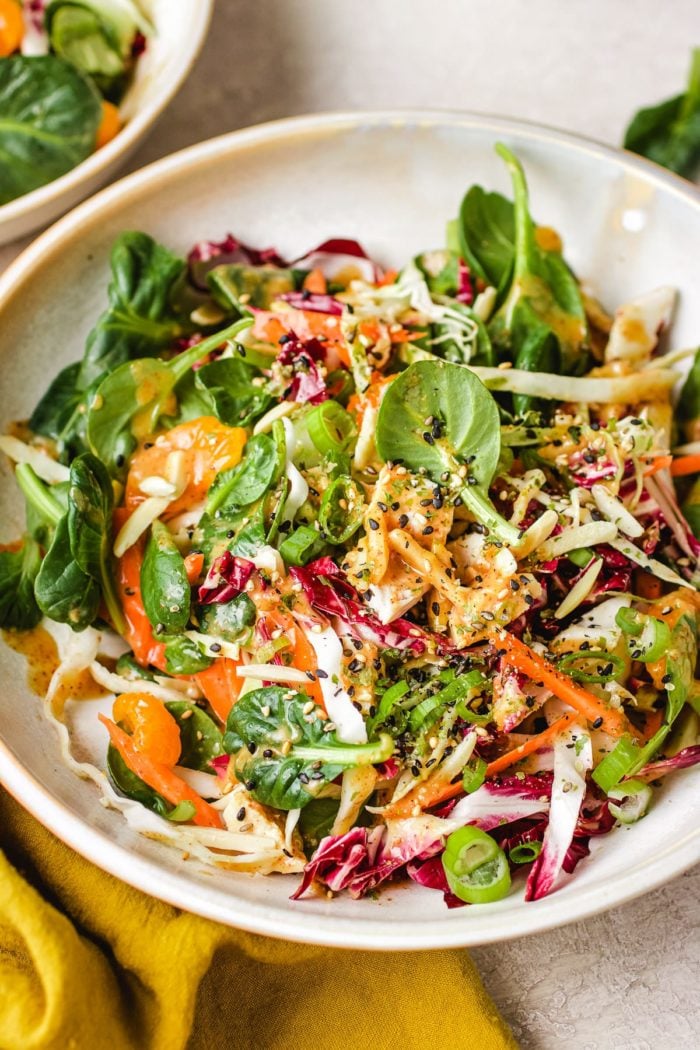 Individual serving platter shot with chopped asian chicken salad and toasted sesame seeds