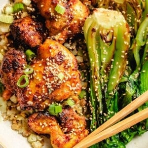 A close shot of the food on a big white plate