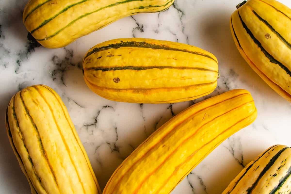 Five yellow delicata squashes with green stripes are arranged on a white marble surface, perfect for slicing into delicata squash rings to be baked or roasted.