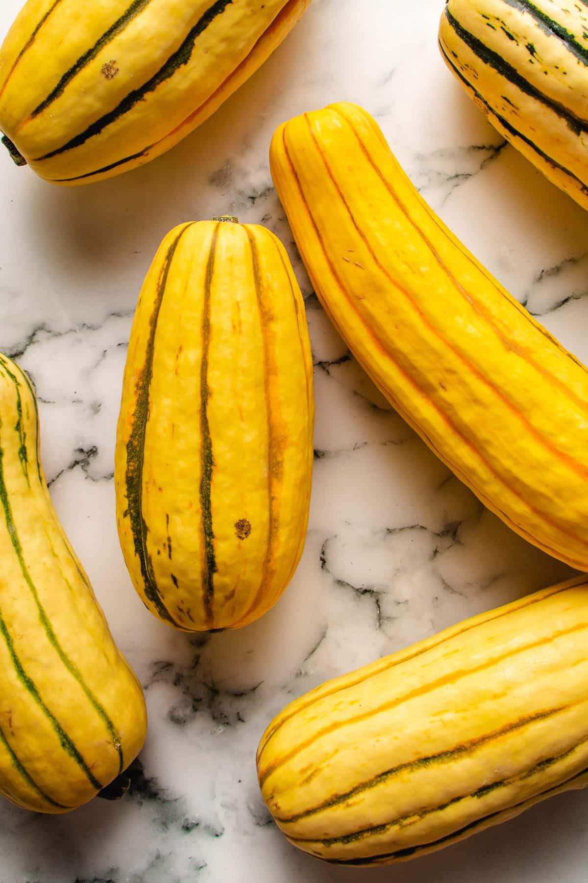 What is delicata squash - a photo of the squash image