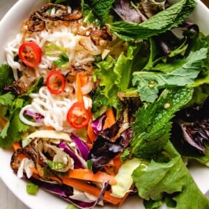 A close shot of the shirataki noodle with salad in a white bowl