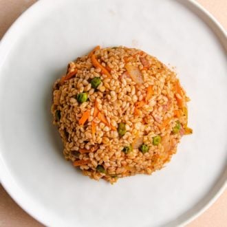 Shirataki fried rice shaped to round shape on a white plate