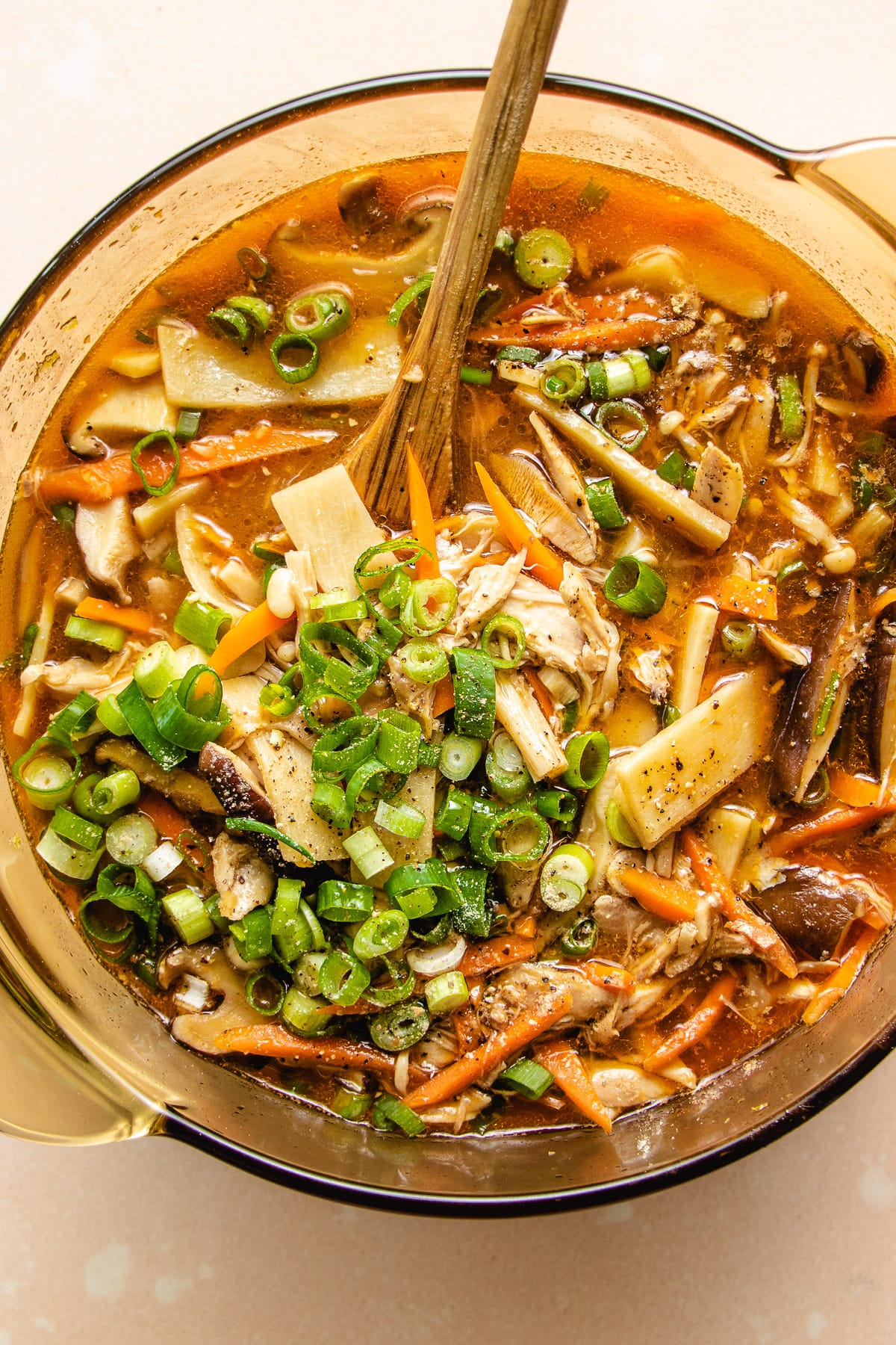 Photo shows a big pot of the soup with scallions on top