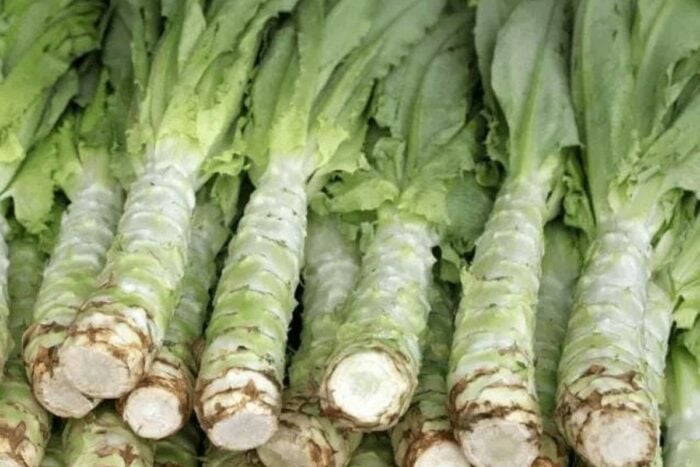 Chinese celtuce vegetable