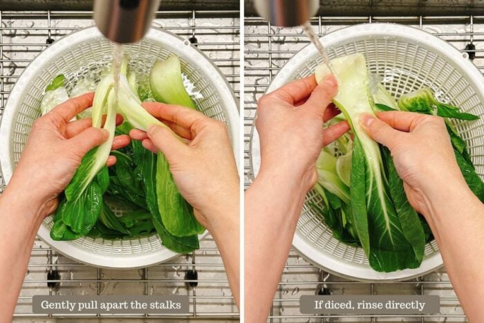 Photo shows how to clean and wash bok choy correctly