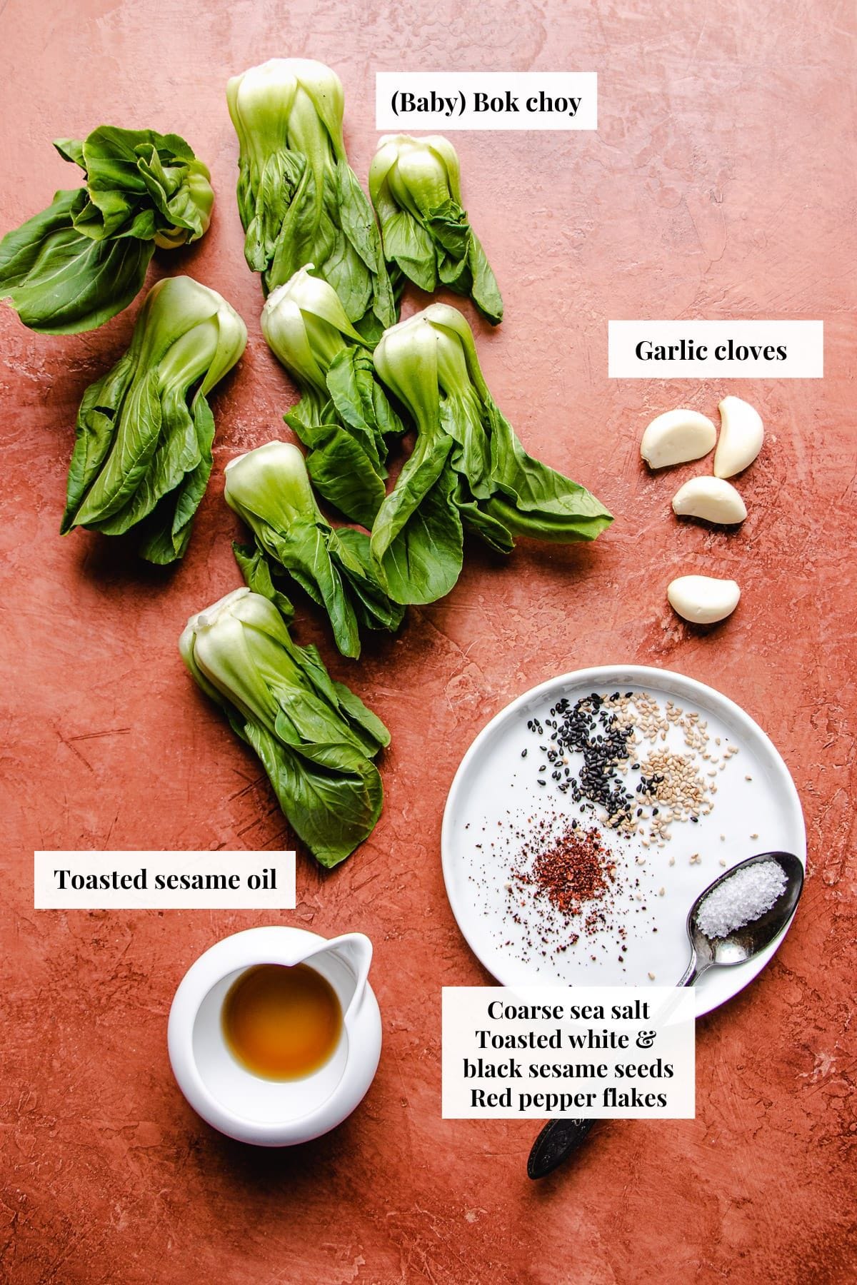 Ingredients needed to make stir fry with bok choy recipe
