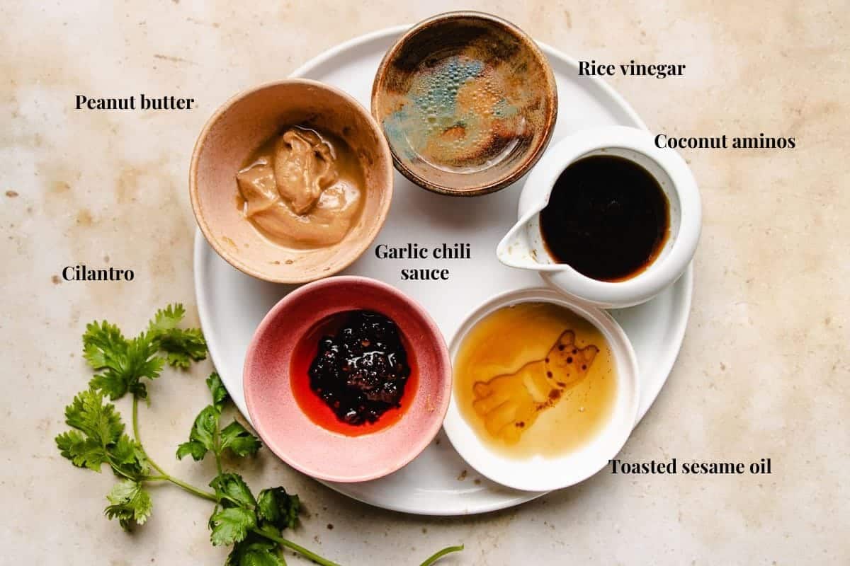 Melting pot dipping sauce recipes