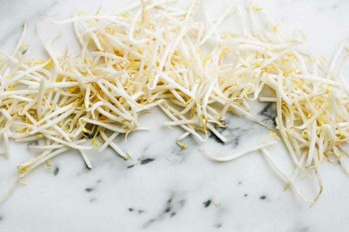 Photo shows fresh mung bean sprouts, trimed and cleaned .