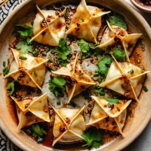 Feature image shows beef wonton pan seared then steamed to juicy tender and served on a big round plate.