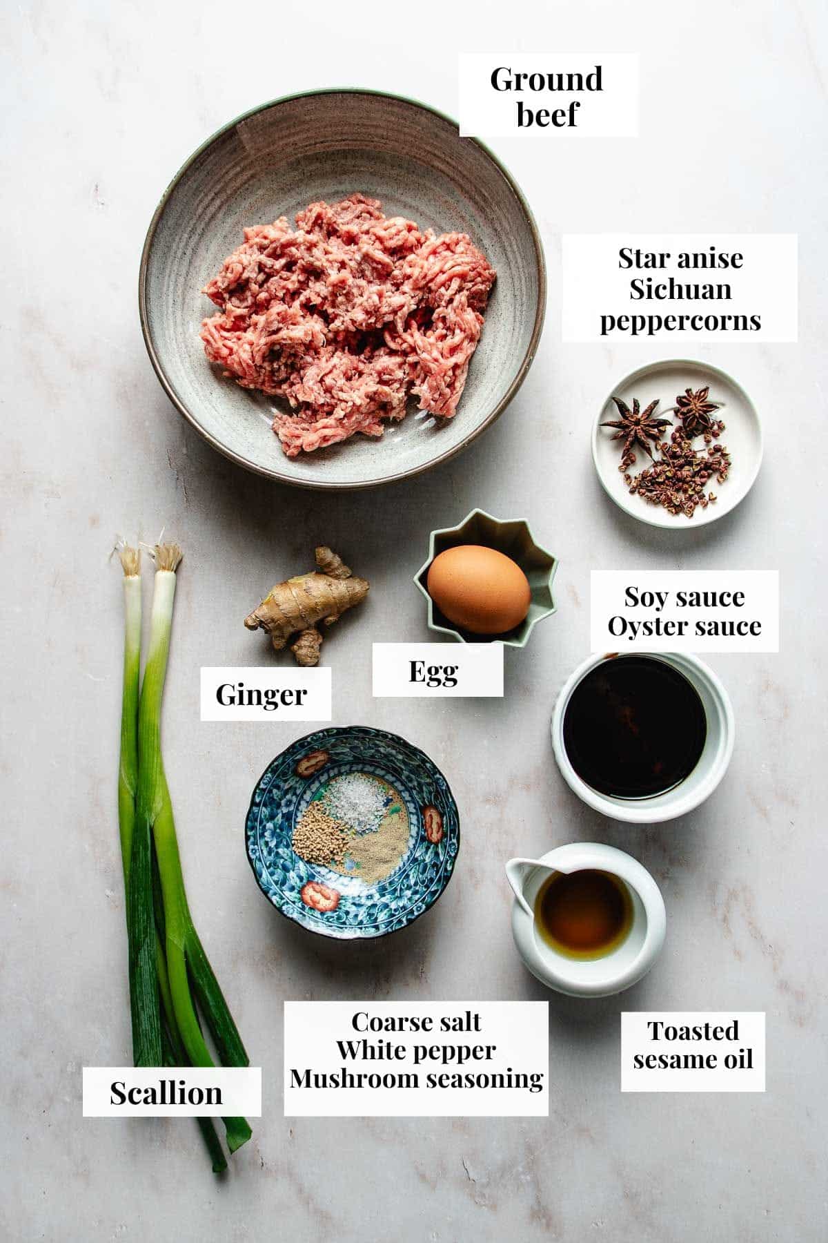 Photo shows ingredients used to make authentic Chinese beef wontons.