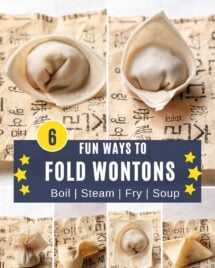 Feature image shows different ways to fold wontons.
