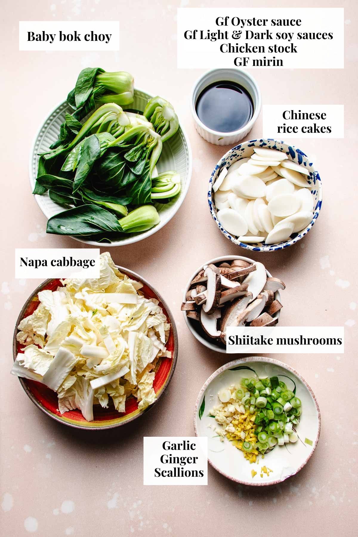 Photo shows ingredients needed to make Chinese rice cake stir fry.