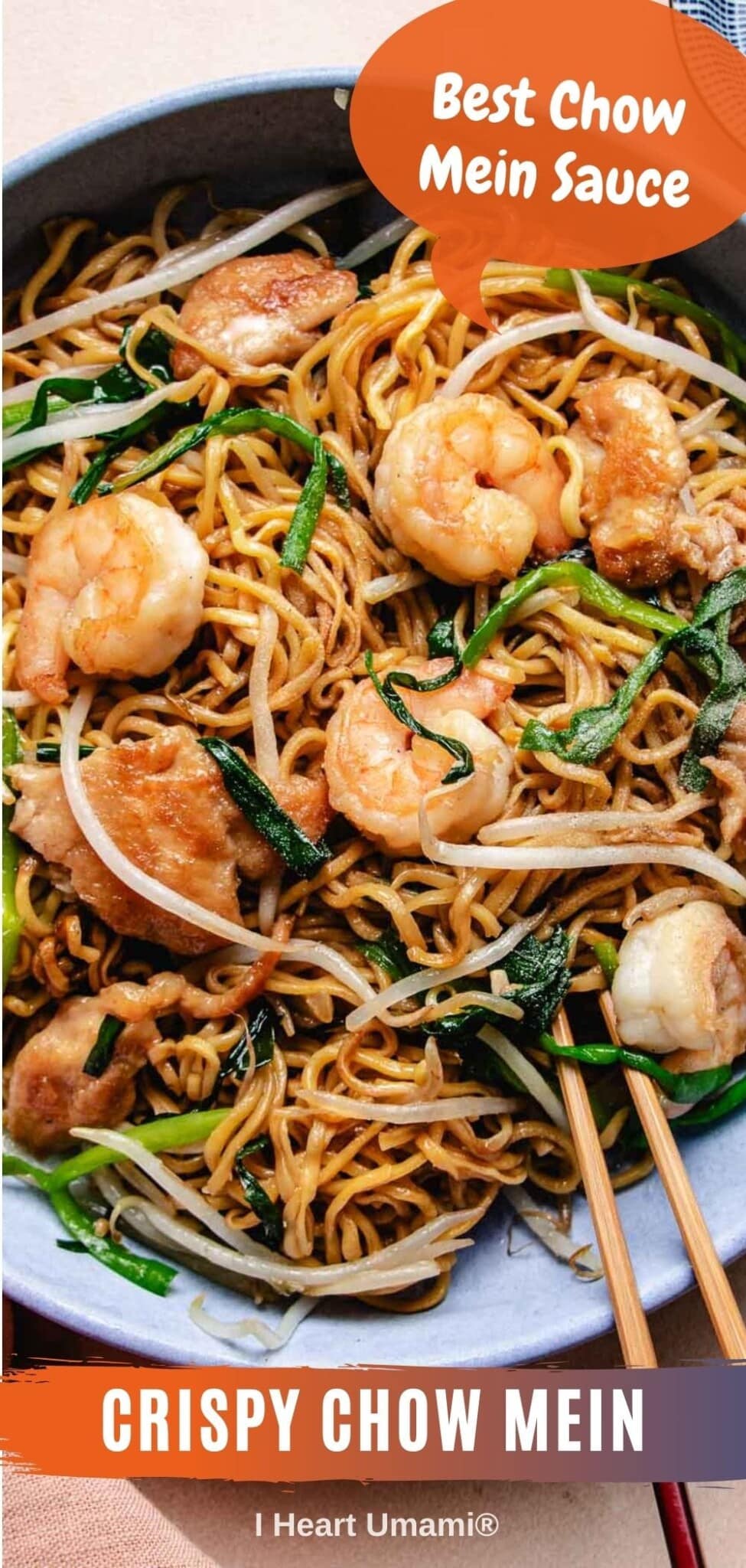 House Special Chow Mein (with chicken and shrimp)