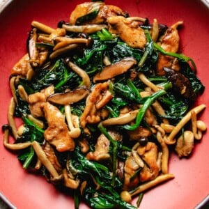 Image shows chicken breast stir fried with oyster sauce with shiitake and snow pea leaves in a red color plate.