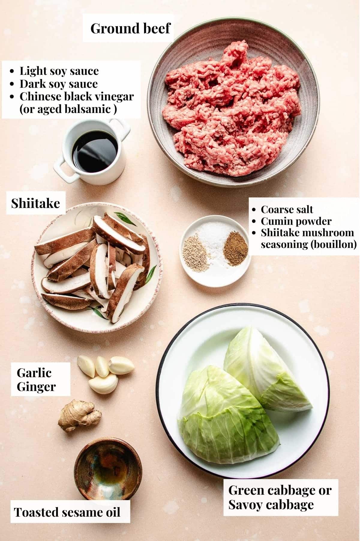 Photo shows ingredients for recipes using cabbage and ground beef.