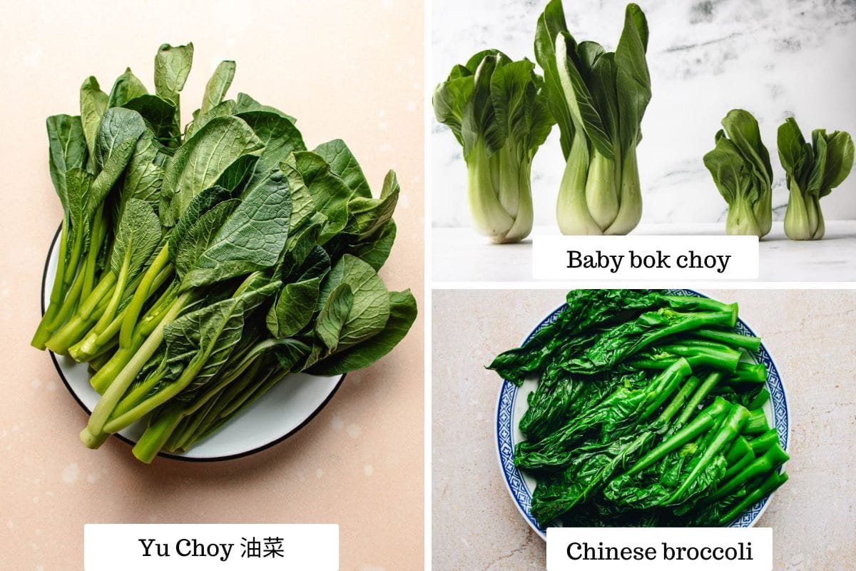 Photo shows the difference between yu choy, bok choy, and Chinese broccoli.