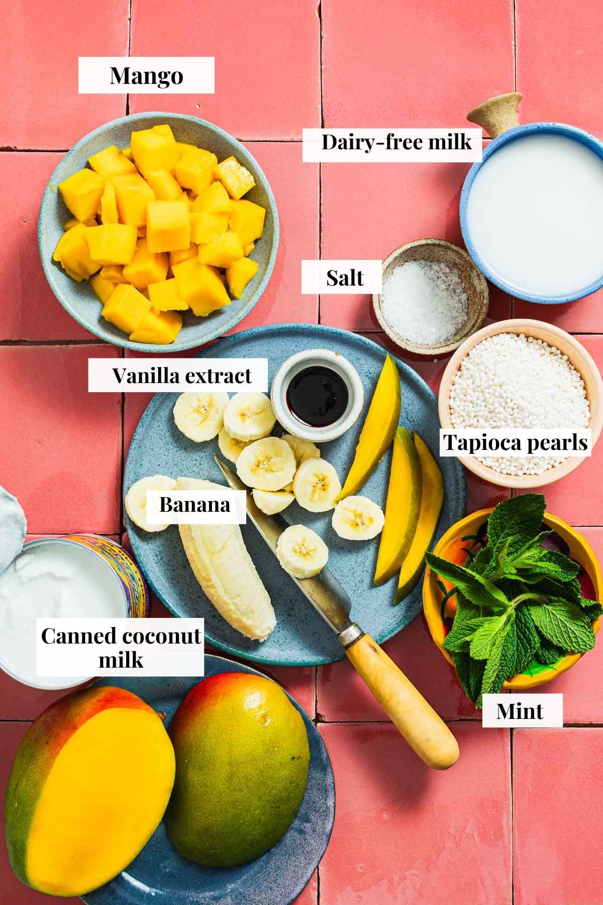 Photo shows ingredients needed to make coconut tapioca pudding with mango.