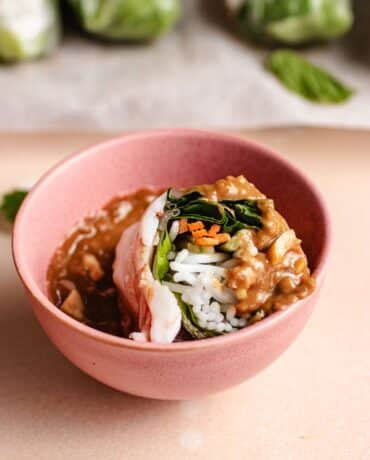 Feature image shows a small pink bowl filled with Vietnamese peanut sauce and there's a spring roll dipped into the sauce.