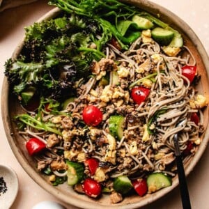 Feature image shows Asian cold noodles with salad greens and cooked proteins tossed in a big salad plate.