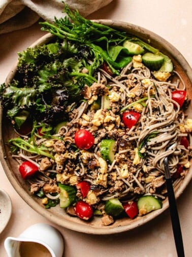 Feature image shows Asian cold noodles with salad greens and cooked proteins tossed in a big salad plate.