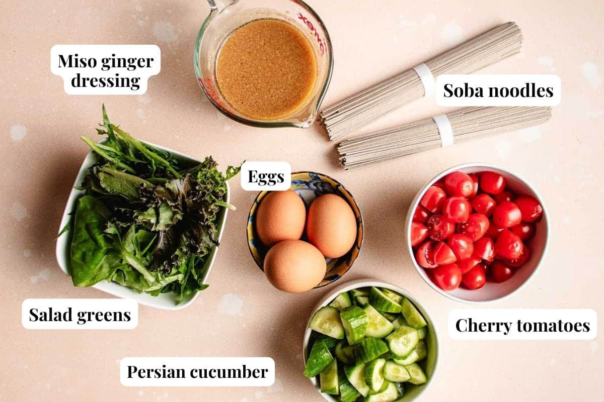 A flat lay of ingredients for a soba noodle salad recipe: a measuring cup with miso ginger dressing, soba noodles, salad greens, eggs, cherry tomatoes, and chopped Persian cucumber. Each item is labeled.