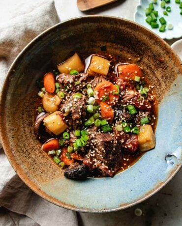 Image shows a bowl of Chinese braised beef stew with daikon and carrots.