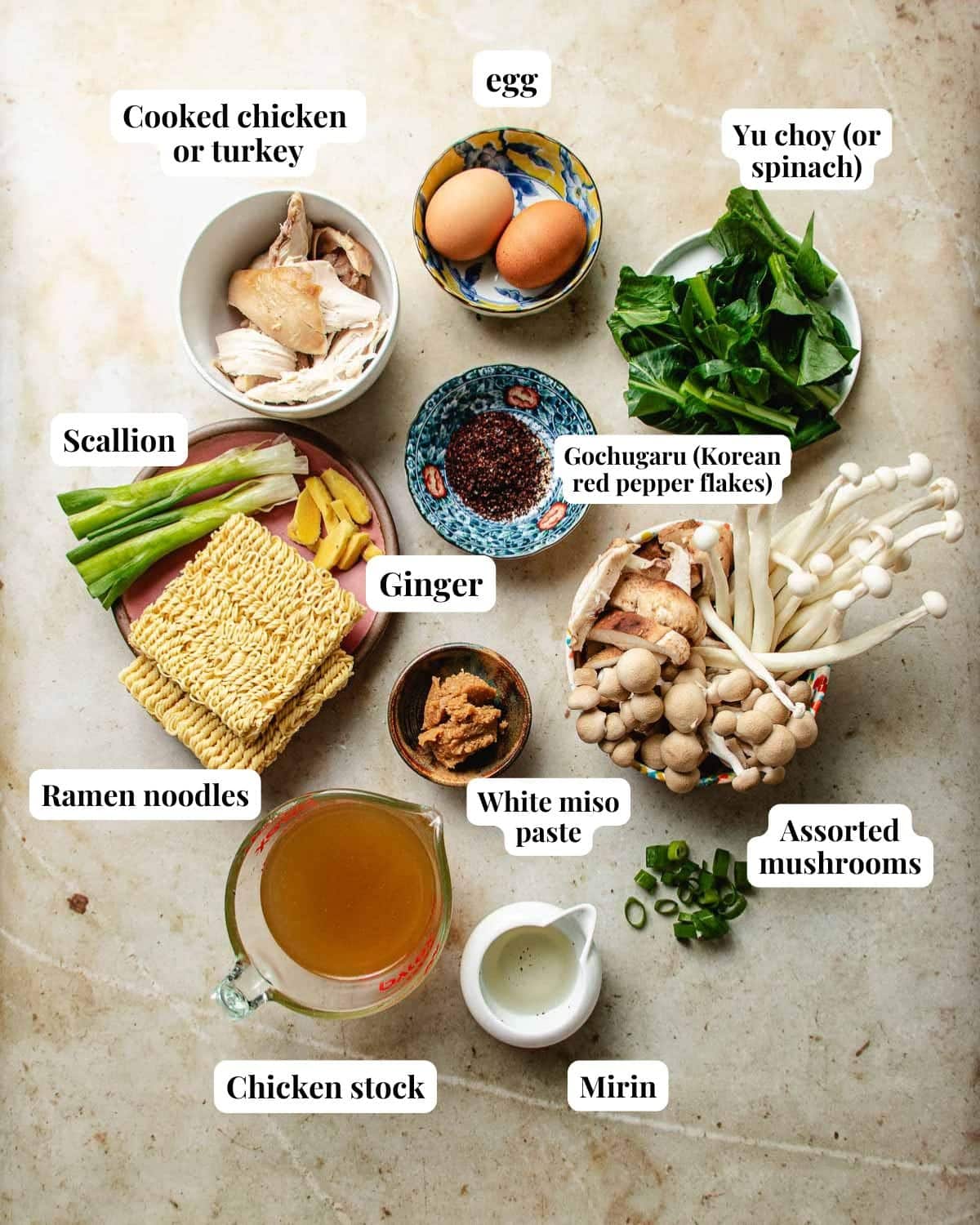 Photo shows ingredients needed to make noodle soup.