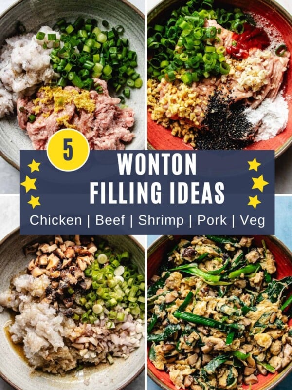 Feature image shows 5 different wonton filling recipes.