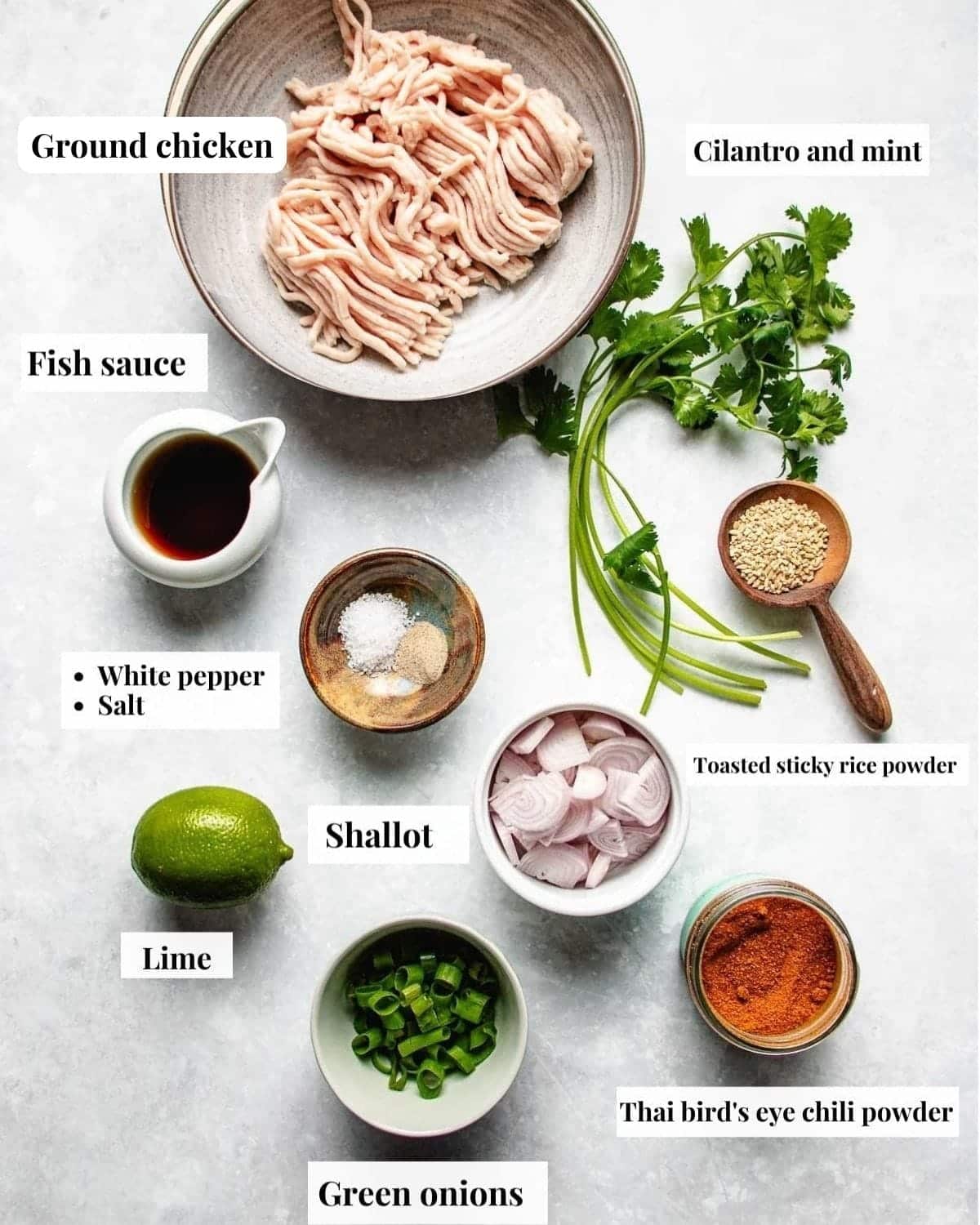 Ingredient image shows ground chicken, fresh herbs, lime, fish sauce, and other seasonings to make larb gai.