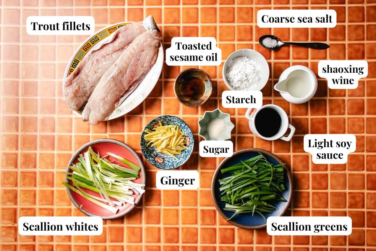 Top view of labeled ingredients for a crispy trout dish on an orange tiled surface, featuring trout fillets, coarse sea salt, Shaoxing wine, starch, light soy sauce, sugar, toasted sesame oil, ginger, scallion whites, and scallion greens.