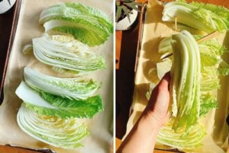 Two images show roasted napa cabbage quarters on a parchment-lined tray. The left side displays three cabbage quarters laid flat, while the right side shows a hand lifting a roasted wedge with chopsticks inserted through its base.