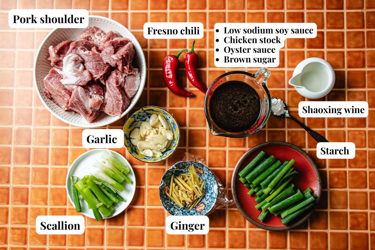Ingredients for Mongolian Pork Slow Cooker are arranged on a tiled surface: pork shoulder, Fresno chili, garlic, scallion, ginger, starch, Shaoxing wine, and a mix of soy sauce, chicken stock, oyster sauce, and brown sugar.
