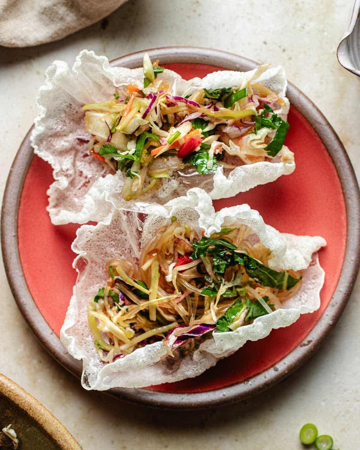 Two crispy rice paper shells filled with colorful spring roll in a bowl ingredients —lincluding shredded cabbage, carrots, and herbs, served on a red plate.