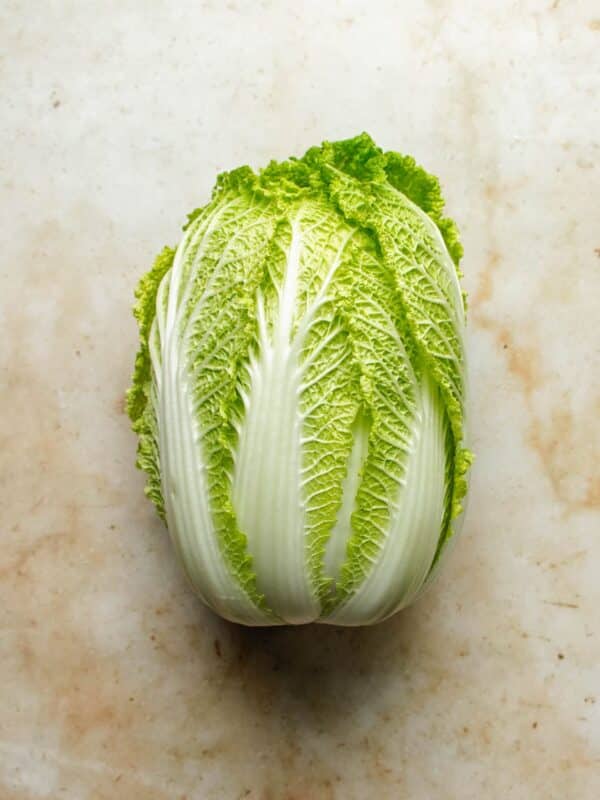 A whole head of fresh napa cabbage with crinkled green leaves and white stems, perfect for learning how to cut Napa cabbage, is placed on a light-colored, slightly textured surface.