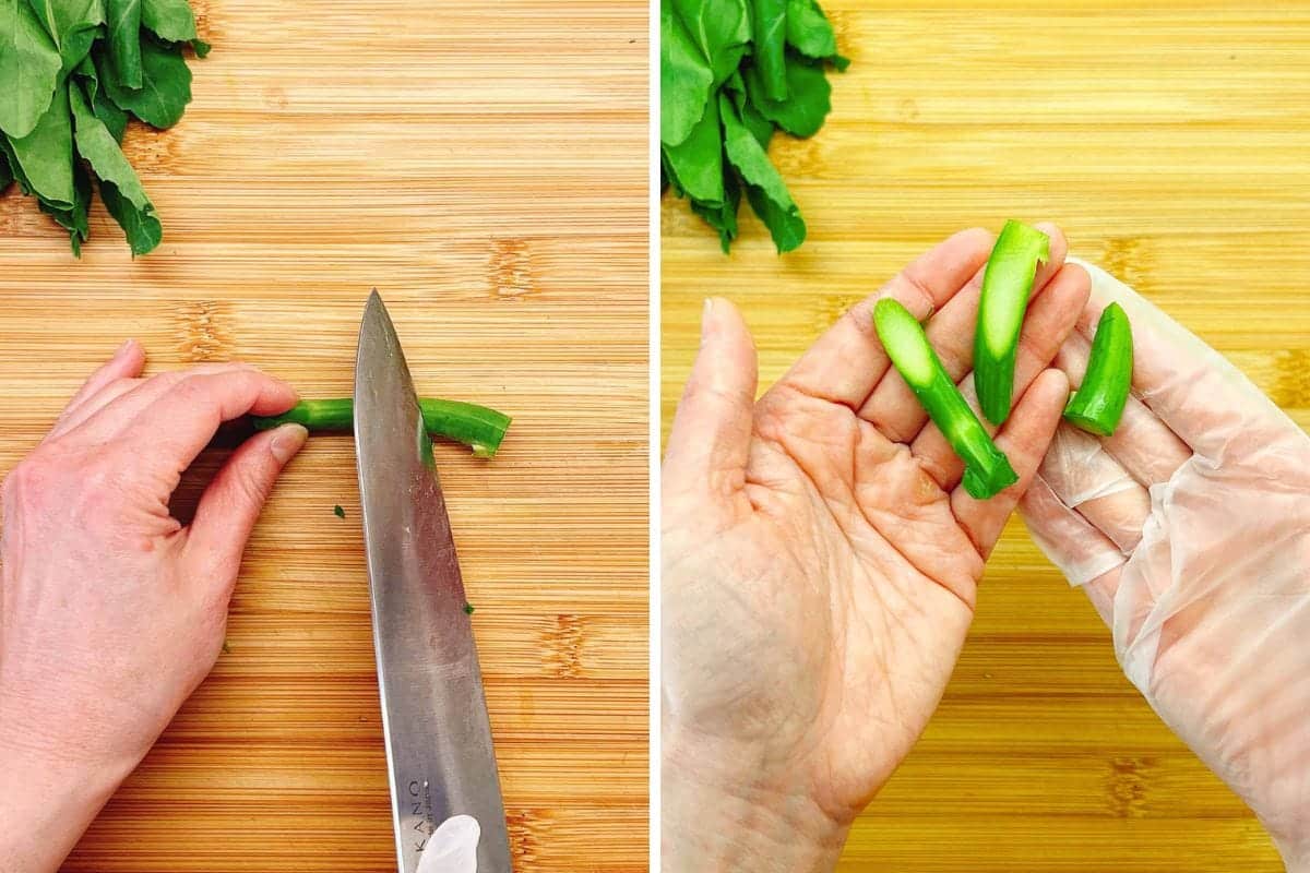 A person slices Chinese broccoli stems on a wooden cutting board in the left image, and in the right image, holds cut broccoli pieces, wearing a disposable glove, with leafy greens—perfect companions to Beef with Chinese broccoli—above.