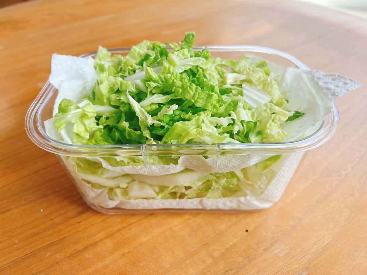 A clear plastic container holds chopped green lettuce, perfect for an Asian napa cabbage salad, lined with paper towels and set on a wooden surface with light streaming in from the right.