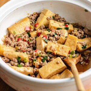 A ceramic bowl filled with tofu cubes, tofu with minced pork, chopped peppers, scallions, and sauce, with a wooden spoon resting inside.