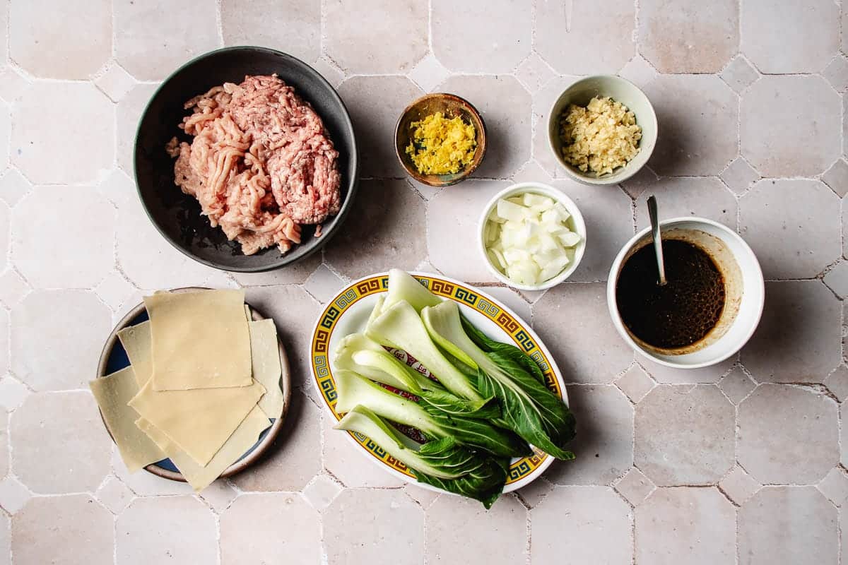 Ground meat, chopped onion, minced garlic and ginger, ginger zest, bok choy, wonton wrappers ready for shaping into a flavorful wonton wrapper noodle bowl, and a savory sauce arranged on a tiled surface, viewed from above.